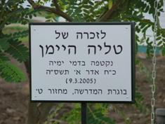 פינת ישיבה לזכרה במדרשת נוב